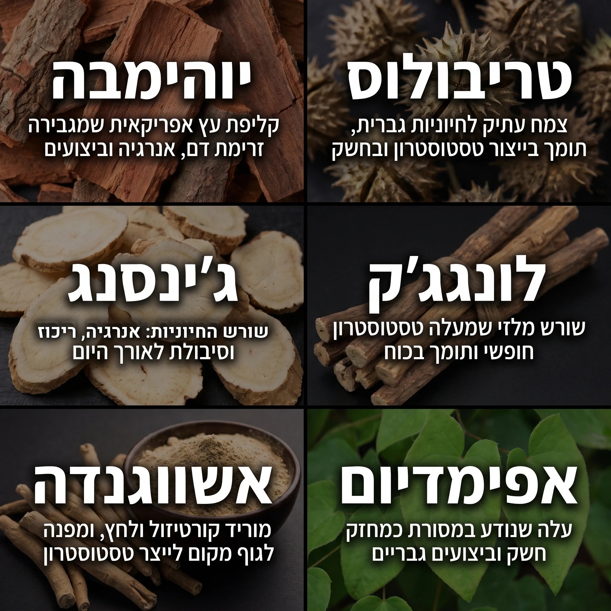 Apexmen - תוסף הטסטוסטרון הטבעי