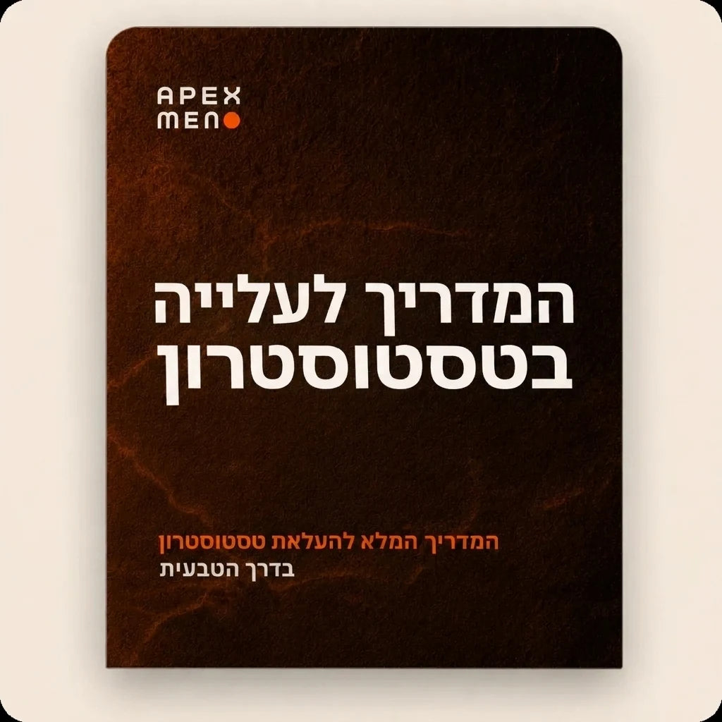 המדריך לעלייה בטסטוסטרון