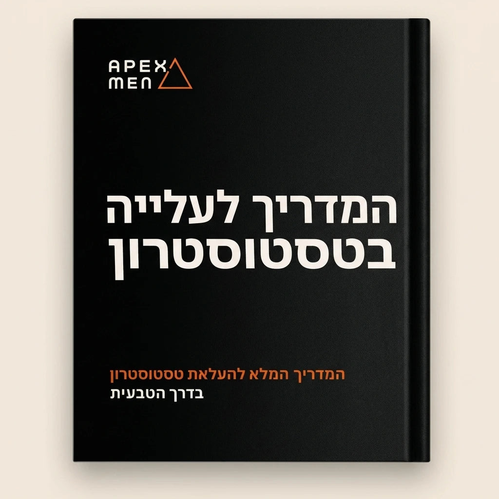 המדריך לעלייה בטסטוסטרון